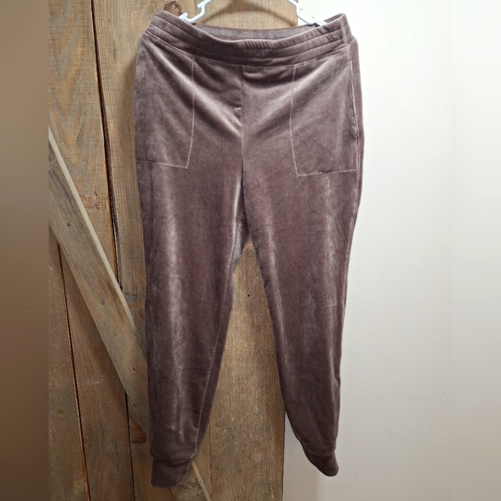 Boston Proper very soft velour lounge pants in a size small. Pre-loved